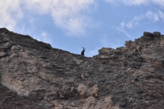 Vallon de la tinée, Camp des fourches, vallon de salso moreno, col de Pouriac, Terres d'émotions, randonnée dans le 06