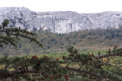 Saint Baume, Marie Madeleine, Joug de l'Aigle, Sanctuaire chrétien, Chemin des rois, Sources de l'huveaune, Terres d'émotions, Randonnée dans le 83