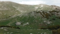 DSCF7065