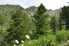 20170625_095028