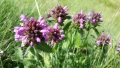 20170716_105602