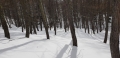 20180225_144814