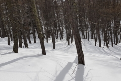 20180225_144814