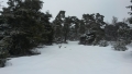 20180318_112721