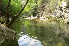 Le ponadieu, La siagne, La siagnole, La pare, Aqueduc, canal de la Siagne, Terresd'émotions31925