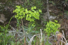 Le ponadieu, La siagne, La siagnole, La pare, Aqueduc, canal de la Siagne, Terresd'émotions