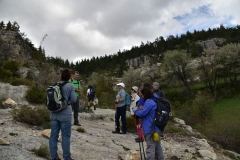 Terres d'emotions, tentes suspendues, Annot, le Courradour, Peyresq, Chambre du roi