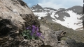 Roche Grande, Estenc, Vallon de l'estrop, Terres d'émotions