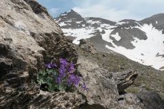 Roche Grande, Estenc, Vallon de l'estrop, Terres d'émotions