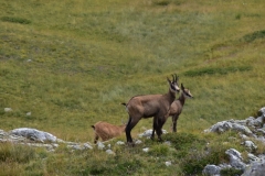 Lacs du Sabion, Terres d'émotions, Randonnée dans le 06. Castérino, Parc du Mercantour