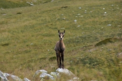 Lacs du Sabion, Terres d'émotions, Randonnée dans le 06. Castérino, Parc du Mercantour