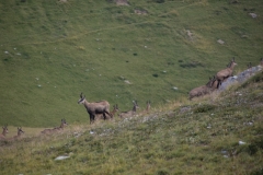 Lacs du Sabion, Terres d'émotions, Randonnée dans le 06. Castérino, Parc du Mercantour