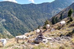 Lacs du Sabion, Terres d'émotions, Randonnée dans le 06. Castérino, Parc du Mercantour