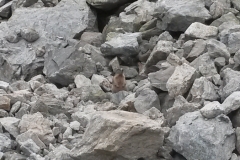 Refuge de NIce, Lac niré, Vallée de la gordolasque, Terres d'émotions, randonnée dans le 06