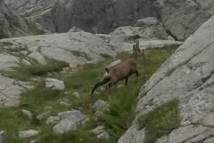 Refuge de NIce, Lac niré, Vallée de la gordolasque, Terres d'émotions, randonnée dans le 06