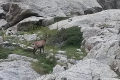 Refuge de Nice, Lac niré, Vallée de la gordolasque, Terres d'émotions, randonnée dans le 06