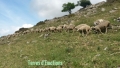 Cabane de la boulière, Col des trentes souches, Le bourdous, Entraunes,  Terres d'émotions, Randonnée dans le 06