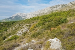 Sainte Victoire, Terres d\'émotions, Montagne de Cézanne, PIc de Mouches, Randonnée dans le 06, Puyloubier, GR9