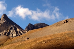 Vallon de la tinée, Camp des fourches, vallon de salso moreno, col de Pouriac, Terres d'émotions, randonnée dans le 06