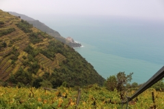 Cinque Terre, Riviera Italienne, Terres d'émotions