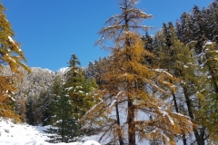 Premières neiges, couleurs d\'automne,  Vallons des Erps, Cerise, Terres d\'émotions, Randonnée dans le 06