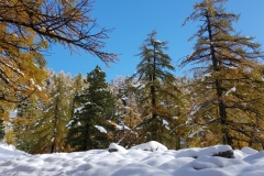 Premières neiges, couleurs d\'automne,  Vallons des Erps, Cerise, Terres d\'émotions, Randonnée dans le 06