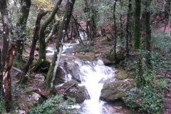 Saint Baume, Marie Madeleine, Joug de l'Aigle, Sanctuaire chrétien, Chemin des rois, Sources de l'huveaune, Terres d'émotions, Randonnée dans le 83