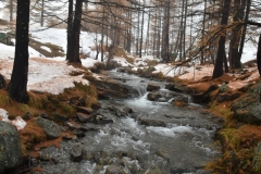 Vallon de la Braisse, Tinée, Terre s d\'émotions, Randonnées dans le 06. Raquettes à neige