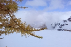 Vallon de la Braisse, Tinée, Terre s d\'émotions, Randonnées dans le 06. Raquettes à neige