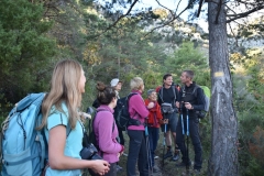 Cime du Baudon, Gorbio, Mer méditerranée, Terres d'émotions, Randonnée dans le 06