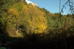 Cime du Baudon, Gorbio, Mer méditerranée, Terres d'émotions, Randonnée dans le 06