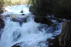 Lac de Carcès, Var, Randonnée dans le 83, Terres d'émotions