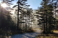 Azurmercantournature, Terres d'émotions, Gite la baume, Pic Chamatte, Montagne de l'aup, randonnée dans le 04