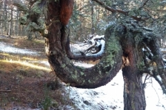 Vallée de la Galange, Ubraye, Terres d'émotions, le Touyet, Randonnée dans le 06