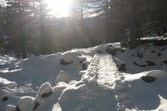 Lac de trécolpas, le Boréon, Terres d'émotions, randonnée dans le 06, raquettes à neige