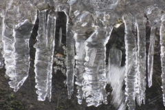 Lac de trécolpas, le Boréon, Terres d'émotions, randonnée dans le 06, raquettes à neige