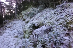 Le Bauroux, Préalpes de Grasse, Séranon, Plaine de Caille, Terre s 'émotions, Randonnée dans le 06