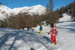 Col d'Anelle, Saint Dalmas le Selvage, Terres d'émotions, Randonnée dans le 06, raquettes à neige