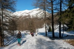 Col d'Anelle, Saint Dalmas le Selvage, Terres d'émotions, Randonnée dans le 06, raquettes à neige