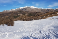 Terres d'émotions, Beuil les Launes, Valberg, Plateau St Jean, Bois Tailler, randonnée dans le 06