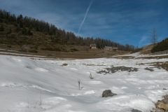 Terres d'émotions, Beuil les Launes, Valberg, Plateau St Jean, Bois Tailler, randonnée dans le 06