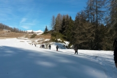 Terres d'émotions, Beuil les Launes, Valberg, Plateau St Jean, Bois Tailler, randonnée dans le 06