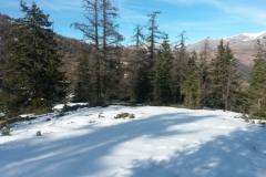 Terres d'émotions, Beuil les Launes, Valberg, Plateau St Jean, Bois Tailler, randonnée dans le 06