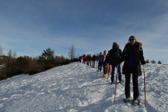 Terres d'émotions, Beuil les Launes, Valberg, Plateau St Jean, Bois Tailler, randonnée dans le 06