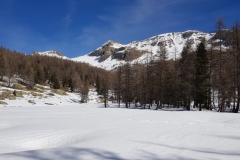Vallon de la boucharde, Estenc, Vallée du Var, Terres d'émotions, Vallon Sanguinère, Randonnée dans le 06