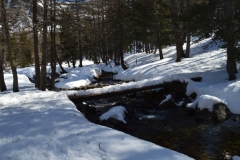 Vallon de la boucharde, Estenc, Vallée du Var, Terres d'émotions, Vallon Sanguinère, Randonnée dans le 06