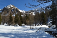 Vallon de la boucharde, Estenc, Vallée du Var, Terres d'émotions, Vallon Sanguinère, Randonnée dans le 06
