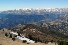 Péone, aliège, Col de Crous, Tête de Méric, Azur Mercantour Nature, Randonnée dans le 06, Vallée Haut Var,  Tuébi