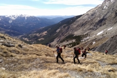 Péone, aliège, Col de Crous, Tête de Méric, Azur Mercantour Nature, Randonnée dans le 06, Vallée Haut Var,  Tuébi