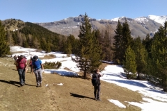 Péone, aliège, Col de Crous, Tête de Méric, Azur Mercantour Nature, Randonnée dans le 06, Vallée Haut Var,  Tuébi